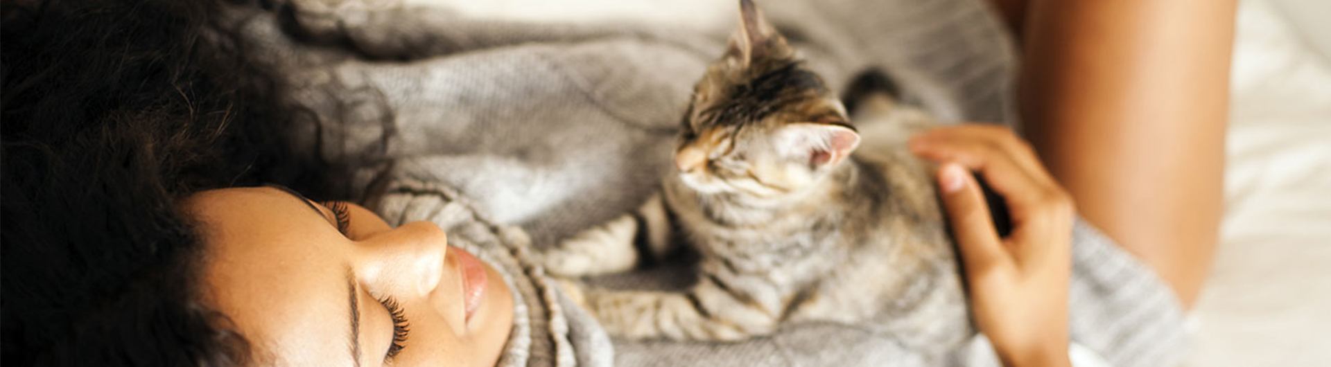 凯发一触即发热能